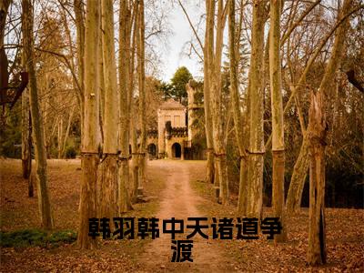 韩羽韩中天在哪免费看  韩羽韩中天结局是什么（诸道争渡）小说无弹窗免费阅读