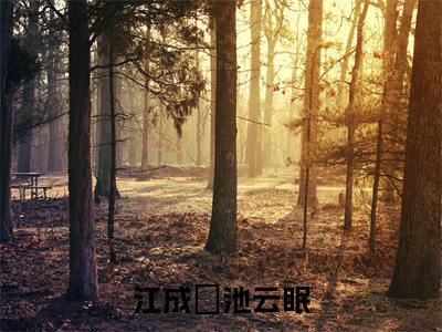 小说江成璟池云眠在线阅读-正版小说《江成璟池云眠》江成璟池云眠全文阅读
