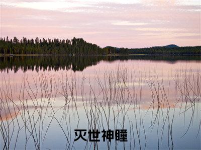 小说唐羽全文免费阅读无弹窗大结局_灭世神瞳完整阅读