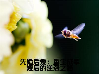 先婚后爱：重生成军嫂后的逆袭之路（ 叶宁叶宁）全网首发最新小说-主角 叶宁叶宁全文在线免费阅读