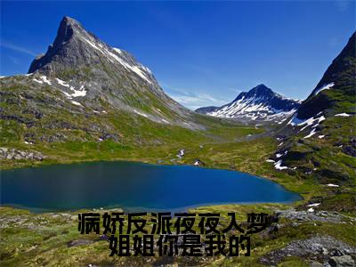 病娇反派夜夜入梦：姐姐你是我的沈夏是什么小说-病娇反派夜夜入梦：姐姐你是我的全文免费阅读无弹窗大结局（沈夏）最新章节列表在线阅读