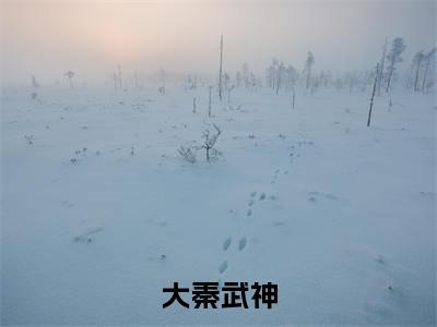 殷泽是大秦武神的小说(殷泽)免费读_小说免费大秦武神读-笔趣阁