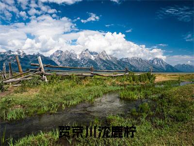 贺京川沈鹿柠沈鹿柠贺京川精彩章节-贺京川沈鹿柠沈鹿柠贺京川完整版阅读