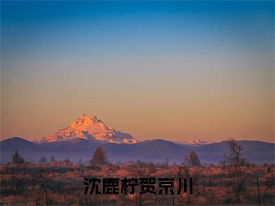 贺京川沈鹿柠(沈鹿柠贺京川)全文免费贺京川沈鹿柠读无弹窗大结局_ 贺京川沈鹿柠免费沈鹿柠贺京川读最新章节列表_笔趣阁