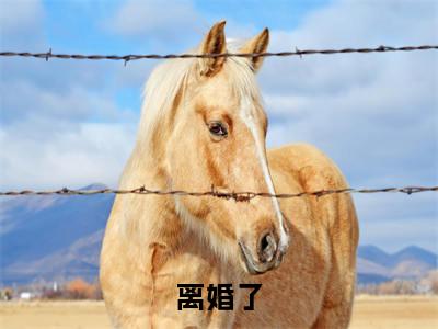 离婚了，别耽误我成首富全文免费阅读大结局_ 林茵周易泽已完结全集离婚了，别耽误我成首富大结局小说