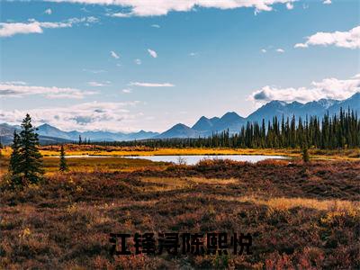 江锋浔陈熙悦(陈熙悦江锋浔)小说全文免费阅读大结局-江锋浔陈熙悦免费阅读无弹窗大结局
