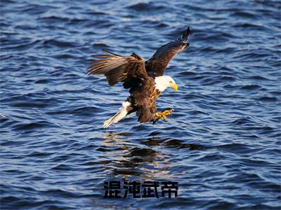 混沌武帝(苏尘)精选好书-苏尘无删减版在线阅读(苏尘全文免费阅读)