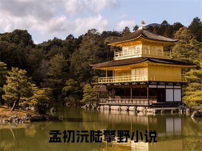  孟初沅陆擎野小说全文免费阅读-豪门弃妇不当对照组后躺赢了最新章节列表免费阅读