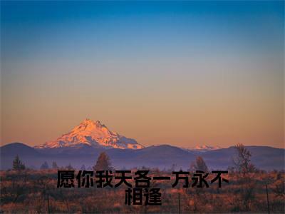 愿你我天各一方永不相逢(沈悠悠君莫庭小说)全文免费阅读无弹窗大结局_(沈悠悠君莫庭小说)愿你我天各一方永不相逢最新章节列表_笔趣阁(沈悠悠君莫庭)