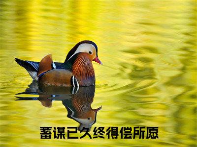 蓄谋已久终得偿所愿（靳尘顾笙全文）全文免费阅读无弹窗大结局_（靳尘顾笙）蓄谋已久终得偿所愿全文小说最新章节列表笔趣阁（靳尘顾笙全文）