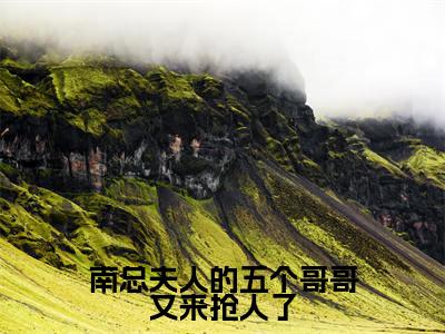 南总夫人的五个哥哥又来抢人了老书虫书荒推荐热点小说-南总夫人的五个哥哥又来抢人了南宫辰洛云汐全文免费阅读