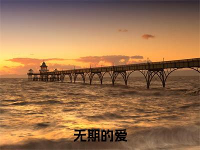 洛夏南宫璃的小说主角（无期的爱）免费阅读_无期的爱热搜小说完结版阅读
