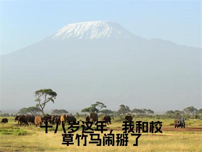 童央央陆京墨（十八岁这年，我和校草竹马闹掰了）是什么小说_主角是（童央央陆京墨）的小说（十八岁这年，我和校草竹马闹掰了）最新章节无弹窗阅读