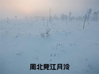 江月泠周北竞全文免费阅读大结局-周北竞江月泠最新章节列表笔趣阁