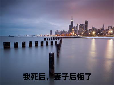热门小说白落冉林修宇我死后,妻子后悔了全文免费阅读无弹窗大结局-白落冉林修宇全文无弹窗免费阅读大结局