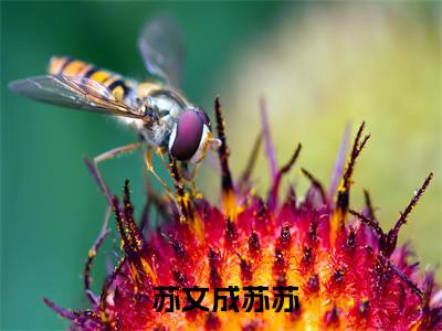 开局被读心：炮灰家人逆天改命了热门推荐小说（ 苏文成苏苏）精彩章节阅读-开局被读心：炮灰家人逆天改命了全文免费在线阅读_笔趣阁