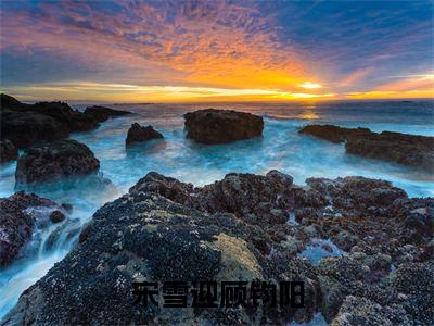 宋雪迎顾钧阳（宋雪迎顾钧阳）全文免费阅读无弹窗大结局_（宋雪迎顾钧阳无弹窗）_笔趣阁
