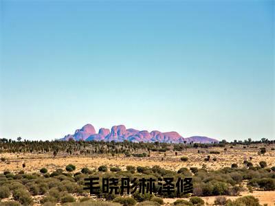 毛晓彤林泽修(林泽修毛晓彤)全文免费阅读无弹窗_(林泽修毛晓彤)毛晓彤林泽修小说最新章节列表笔趣阁(林泽修毛晓彤)