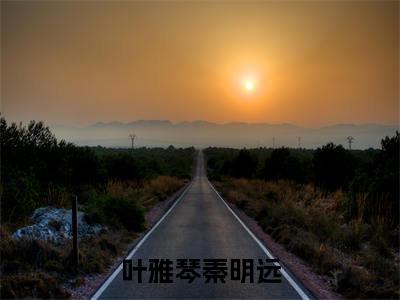 秦明远叶雅琴叶雅琴秦明远免费小说-叶雅琴秦明远(秦明远叶雅琴)已更新最新章节