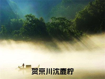 沈鹿柠贺京川是哪部小说的主角,贺京川沈鹿柠全文无弹窗完整版阅读