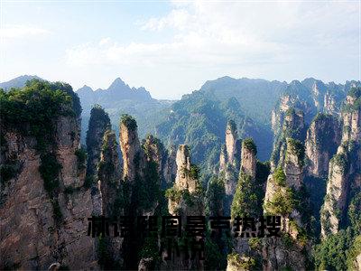 离婚后，老公天天跪求复合小说试读整本（ 林语熙周晏京）全文免费阅读无弹窗- 林语熙周晏京小说完整版在线阅读