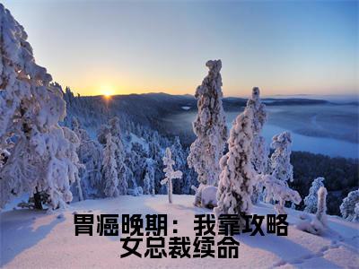  苏沐萧辰（胃癌晚期：我靠攻略女总裁续命全文小说）全文免费阅读无弹窗大结局_胃癌晚期：我靠攻略女总裁续命全文免费阅读最新章节列表_笔趣阁