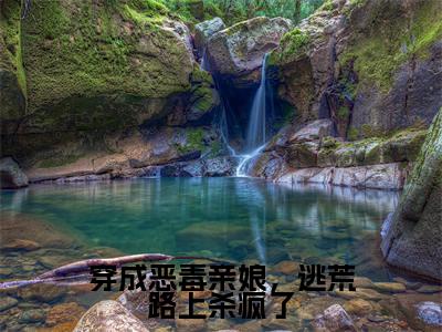 穿成恶毒亲娘,逃荒路上杀疯了(苏十一)全文免费阅读无弹窗_苏十一小说_笔趣阁