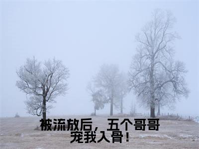 被流放后,五个哥哥宠我入骨! 颜寒歌小说(颜寒歌)全文免费阅读无弹窗大结局_颜寒歌小说最新章节列表_笔趣阁