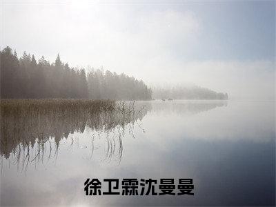 徐卫霖沈曼曼热门推荐小说(沈曼曼徐卫霖)精彩章节阅读-徐卫霖沈曼曼全文免费在线阅读_笔趣阁