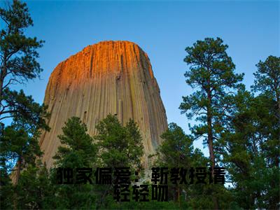 独家偏爱：靳教授请轻轻吻小说全文免费阅读(独家偏爱：靳教授请轻轻吻)全文免费阅读无弹窗_靳宴时宁小说全文免费阅读_笔趣阁(独家偏爱：靳教授请轻轻吻)