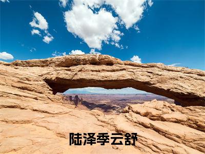 陆泽季云舒(陆泽季云舒)在哪里可以免费看-陆泽季云舒(陆泽季云舒)小说全章节免费阅读