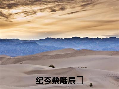 纪岑桑陆辰晞小说最新章节在线阅读_纪岑桑陆辰晞在线阅读