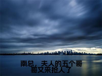 南总，夫人的五个哥哥又来抢人了（南宫辰洛云汐）热门小说盘点在线阅读-南总，夫人的五个哥哥又来抢人了小说无弹窗