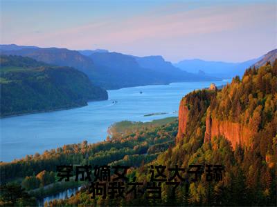 谢韵赵景免费小说-穿成嫡女,这太子舔狗我不当了!小说完整版阅读
