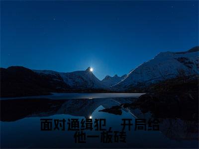 小说面对通缉犯,开局给他一板砖在线阅读-正版小说《苏墨》面对通缉犯,开局给他一板砖全文阅读