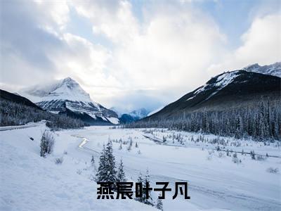 都市：从狱中走出的神医圣手（ 燕宸叶子凡）全文免费阅读无弹窗大结局_ 燕宸叶子凡最新章节列表_