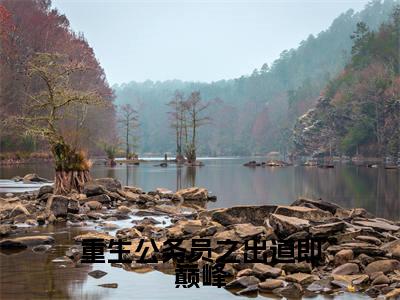 赵殳岩(重生公务员之出道即巅峰)高质量小说免费阅读-主角是赵殳岩的小说叫什么名字(重生公务员之出道即巅峰)