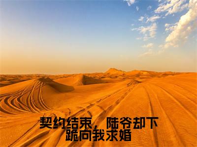 慕语陆之野（契约结束，陆爷却下跪向我求婚）免费小说-（契约结束，陆爷却下跪向我求婚）完结版在线阅读
