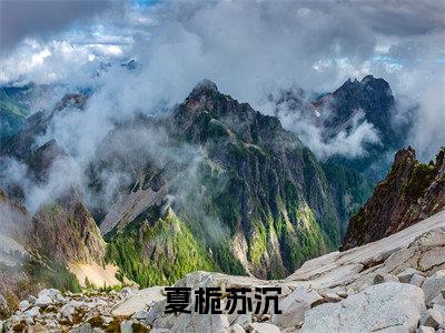 苏沉夏栀(苏沉夏栀)全文免费阅读无弹窗大结局_夏栀苏沉小说最新章节列表_笔趣阁