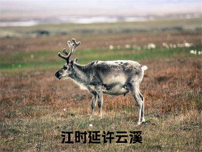 江时延许云溪(许云溪江时延)热门小说盘点在线阅读-全网推荐小说许云溪江时延全文