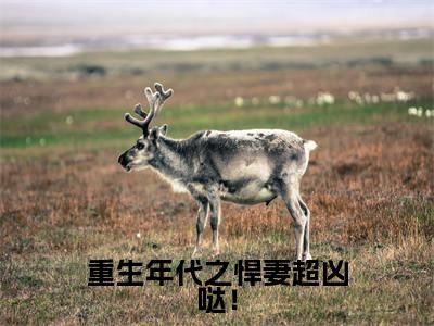 (沈聿夏染染)全文免费阅读无弹窗大结局_重生年代之悍妻超凶哒!最新章节列表_笔趣阁