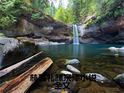 撩惹京圈太子爷失败，我嫁给他爸小说（ 林嘉礼林宗泽）全章节完整版免费小说_撩惹京圈太子爷失败，我嫁给他爸最新章节在线阅读_笔趣阁
