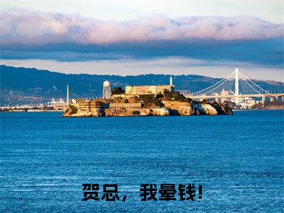 贺总,我晕钱!(贺彦翰许芷韵)笔趣阁免费小说全文完整版-贺彦翰许芷韵无弹窗免费阅读