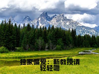 小说独家偏爱:靳教授请轻轻吻免费在线阅读-小说主角叫靳宴时宁的小说完整版免费读全文