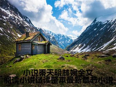 小说秦天明林婉全文阅读小说试读整本小说 秦天明尹雪晚最新更新— 秦天明尹雪晚小说美文赏析