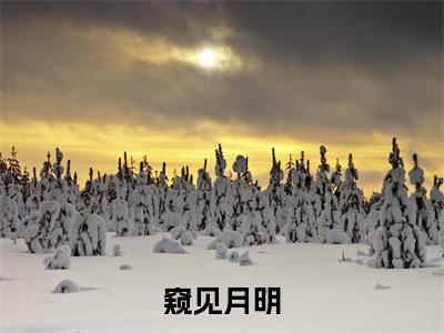 窥见月明（姜南周政安）免费小说-窥见月明小说完整版阅读