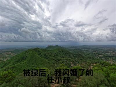 被绿后,我闪婚了前任小叔(沈吟盛澜聿)全文免费阅读无弹窗大结局_被绿后,我闪婚了前任小叔全文免费阅读无弹窗最新章节列表笔趣阁(沈吟盛澜聿)