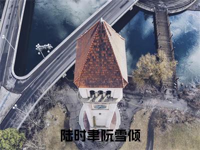 阮雪倾陆时聿(阮雪倾陆时聿)全文免费阅读无弹窗大结局_陆时聿阮雪倾最新章节列表_笔趣阁(阮雪倾陆时聿)
