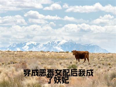 穿成恶毒女配后我成了妖妃 孟柯全文免费阅读_穿成恶毒女配后我成了妖妃 无弹窗最新章节