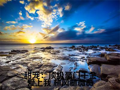 甜宠：顶级豪门千金爱上我小说( 林风林薇薇)全文免费阅读无弹窗大结局_ 林风林薇薇小说免费阅读无弹窗最新章节列表_
